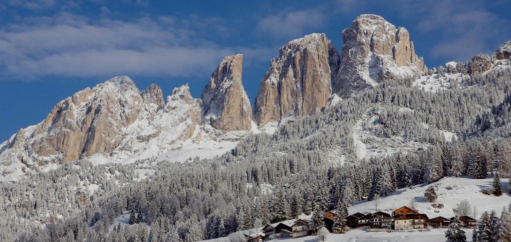 Appartamenti Ladina Campitello di Fassa Dış mekan fotoğraf